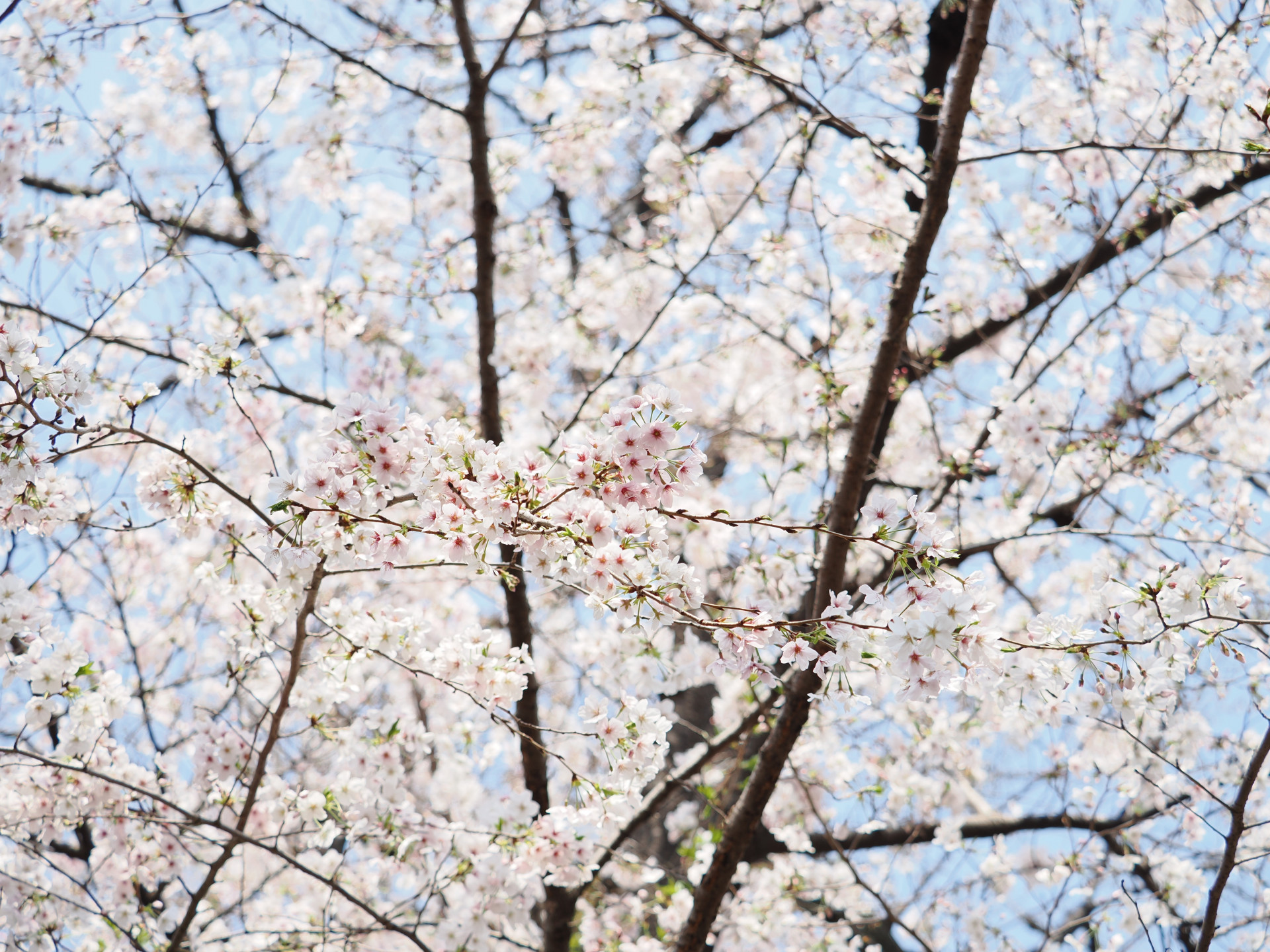 20260329_033036000_iOS