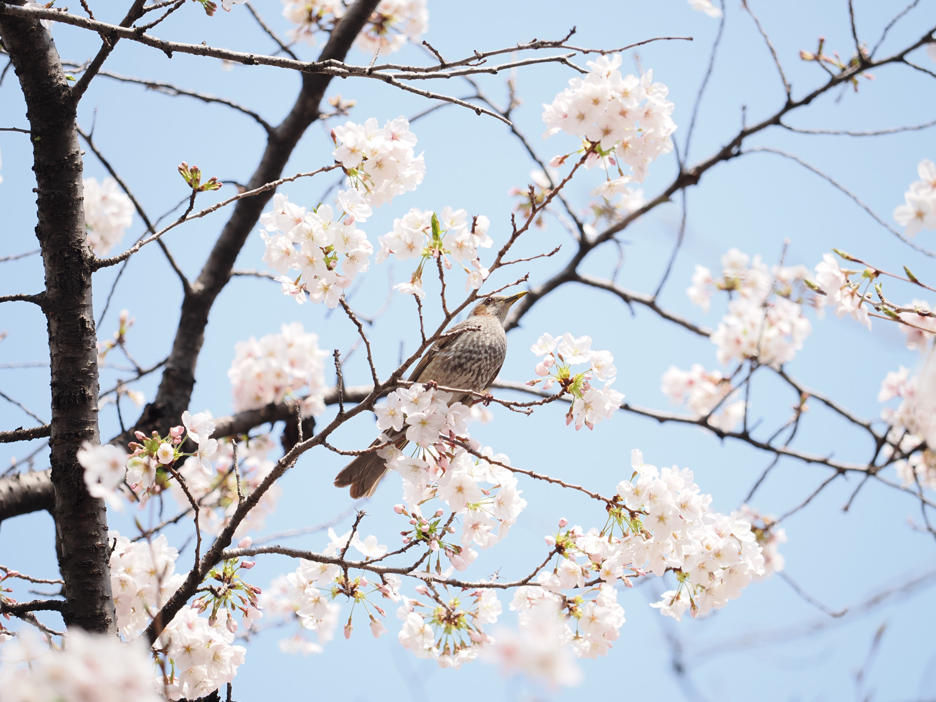 20260329_033541000_iOS