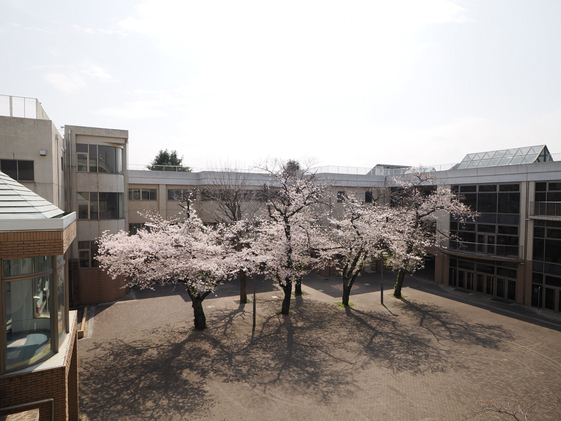 20260330_033352000_iOS