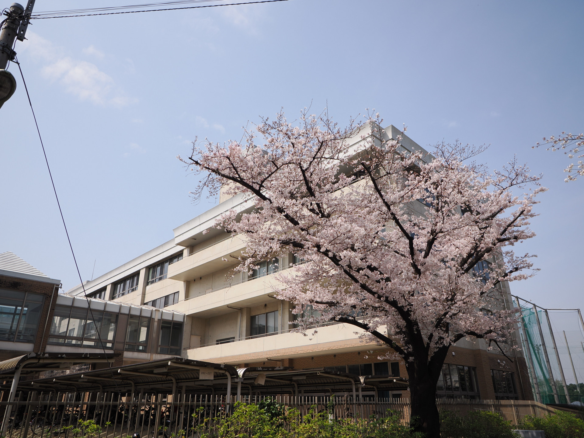 20260330_033805000_iOS