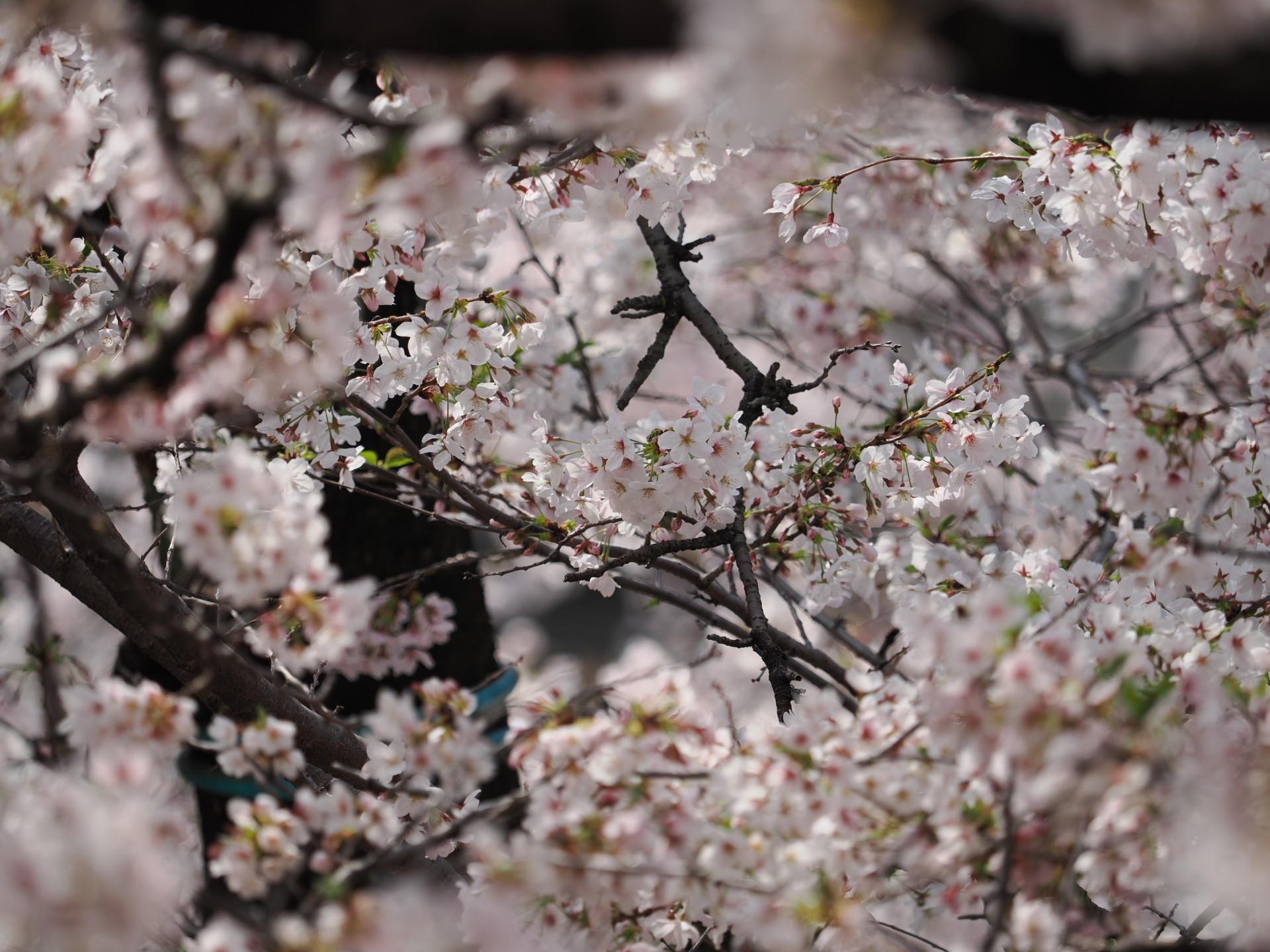 20260330_034319000_iOS