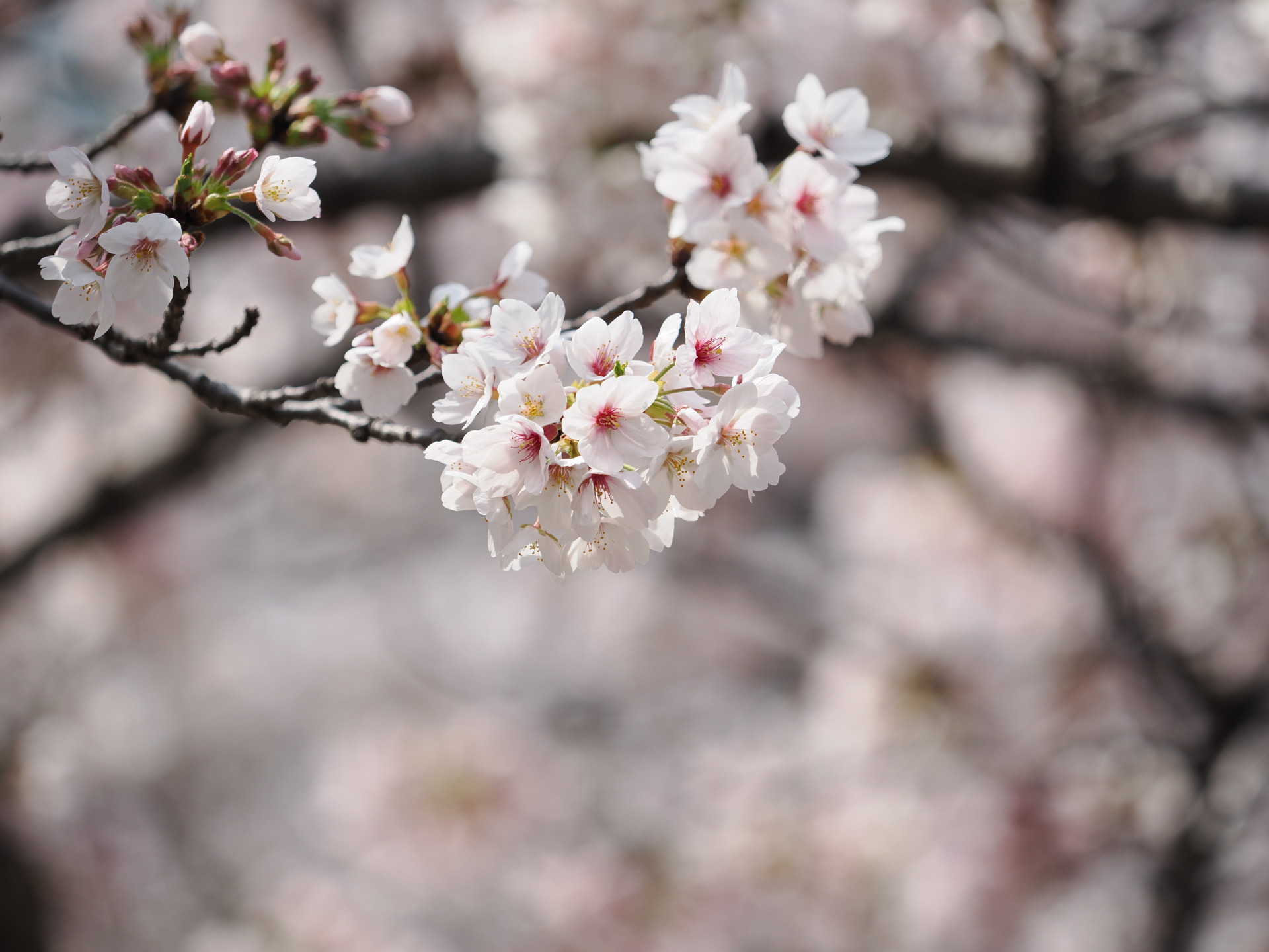 20260330_034440000_iOS